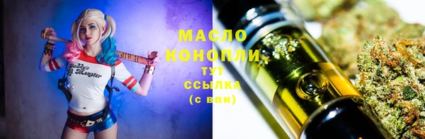 дмт Козельск
