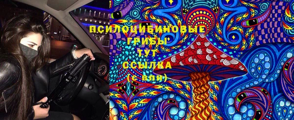 хмурый Козловка