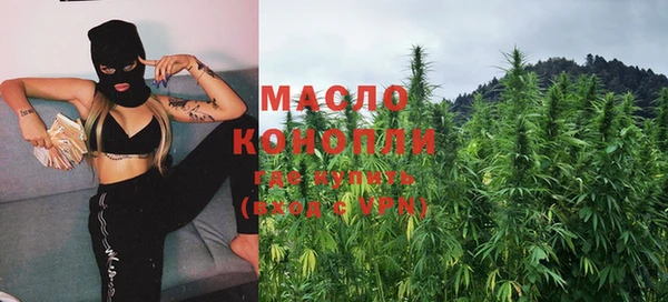 дмт Козельск
