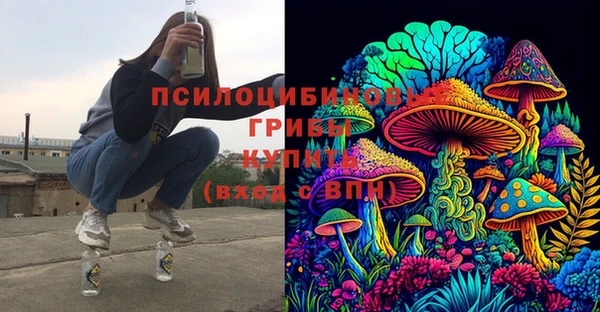 хмурый Козловка